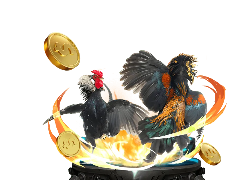 Trận đấu đá gà kịch tính tại mb88 casino